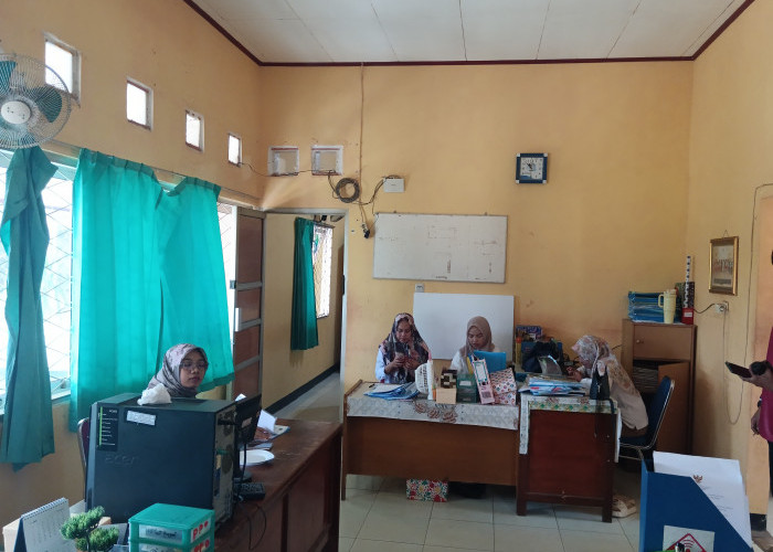 Pengangkatan PPPK Paruh Waktu Belum Pasti, BKPSDM Tunggu Hasil Pemeriksaan Ulang