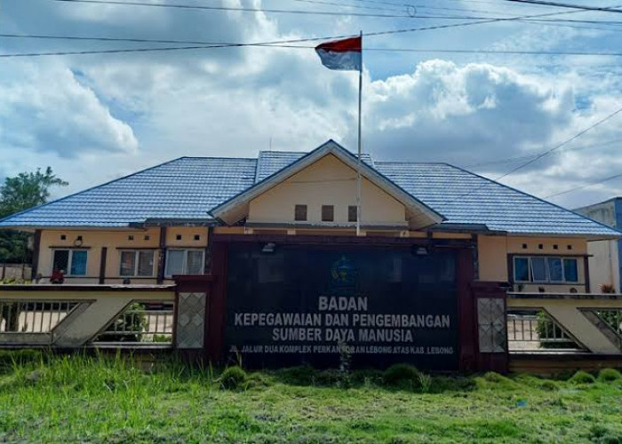 Tak Ada Kepastian PPPK Tahap II, Ratusan THLT Lebong Dirumahkan