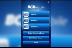 5 Penyebab Utama Error pada M-banking BCA dan Solusinya