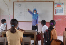 TPG Triwulan 4 Cair Mulai November 2025, Bagaimana Jika Triwulan 3 Belum Diterima?