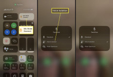 Cara Tingkatkan Kualitas Panggilan di iPhone dengan Fitur Isolasi Suara