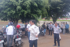 Tuntut Kejelasan Seleksi PPPK Tahap II, THLT Ngadu ke Wabup
