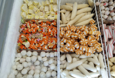 Peluang Usaha Menjadi Agen Frozen Food dengan Modal Kecil
