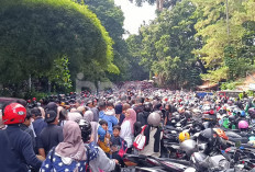 Pengunjung Kebun Binatang Bandung Membeludak, Wisatawan Harus Antre Hingga 1 Jam