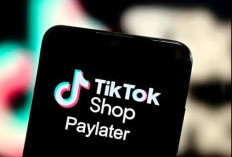 Tak Hanya Shopee, Aplikasi TikTok Juga Ada Paylater! Begini Cara Aktifkannya