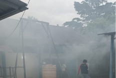 Api Lalap Gudang PLN Muara Aman, Diduga Korsleting Listrik