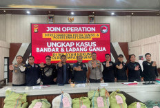 Polres Empat Lawang Temukan 3 Hektare Ladang Ganja di Muara Pinang