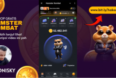 Cara Bermain Playground Hamster Kombat dan Mendapatkan Kode Redeem