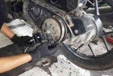 Tanda Perlu Mengganti Oli Gardan Motor