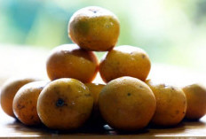 3 Buah Tinggi Kandungan Zat Besi yang Wajib Anda Konsumsi