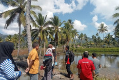 Dukung Sektor Pertanian, Kelurahan Embong Panjang Bangun JUT