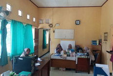 Pengangkatan PPPK Paruh Waktu Belum Pasti, BKPSDM Tunggu Hasil Pemeriksaan Ulang