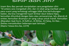 Mengenal Daun Bidara, Tanaman dengan Sejuta Manfaat dalam Islam