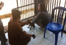 Target 800 Vaksin HPR, Desa Diminta Aktif Ajukan Permintaan
