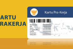 Daftar Kartu Prakerja 2024: Syarat, Cara Pendaftaran, dan Keuntungan Terbaru yang Harus Kamu Tahu!