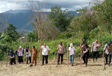 Polsek Lebong Tengah Ajak Petani Manfaatkan Lahan Kering untuk Tanam Palawija