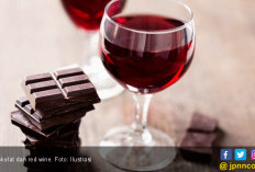 4 Manfaat Red Wine, Ampuh Cegah Deretan Penyakit Ini Menyerang Anda