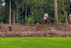 Pemdes Karang Anyar Sediakan Mesin Sedot Atasi Kekeringan Sawah