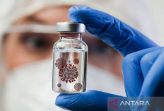 Mulai Ada Kasus di India, Berikut Penjelasan Soal Virus Nipah dan Gejalanya