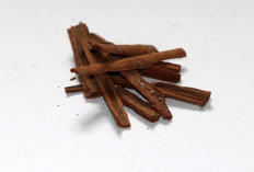 3 Manfaat Kayu Manis, Baik untuk Meningkatkan Kesuburan Wanita