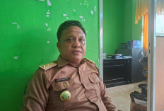 Lebong Kembangkan Bibit Kedelai