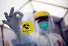 Virus Nipah Merebak di India, Wamenkes Pastikan Indonesia Masih Aman