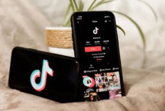 Cara Dapatkan Uang 30Ribu per Hari Dengan Menonton Video TikTok