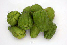 4 Manfaat Labu Siam, Kolesterol Bakalan Ambyar