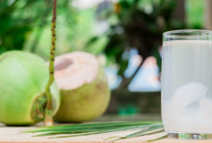 5 Khasiat Minum Air Kelapa Setiap Hari, Bikin Penyakit Ini Ogah Mendekat