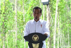 Presiden Jokowi Ungkap Alasan Kenaikan Harga Beras Global