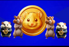 Hamster Kombat: Scam atau Real?