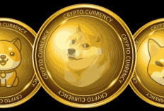 DOGS, Meme Coin Terbaru dari Telegram yang Mulai Dilirik