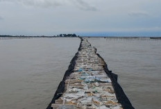 LBH PP Muhammadiyah Bantah Pernyataan Warga yang Ngaku Pasang Pagar Laut di Pesisir Tangerang