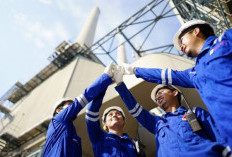 PLN IP Lakukan Panen Raya dan Pengiriman Perdana Biomassa Sorgum Dust