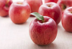 Wanita Harus Tau! Ini Manfaat Buah Apel Untuk Kecantikan