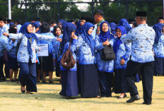 Jawab Sanggah PPPK Tahap 2 Berlangsung, Panselda Harus Menyelamatkan Honorer TMS