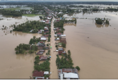 7 Kabupaten di Sulawesi Selatan Diterjang Banjir dan Longsor, 9 Warga Dilaporkan Tewas