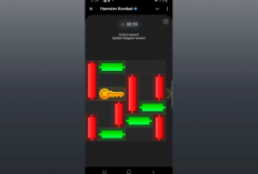 Cara Memecahkan Puzzle Hamster Kombat Mini-Game