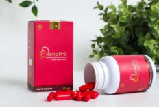 Renapro, Solusi Herbal untuk Atasi Anyang-anyangan dan Kencing Batu