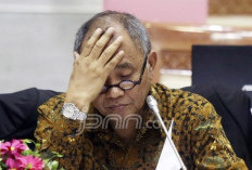 Eks Ketua KPK Sebut Jokowi Minta Kasus Setnov Dihentikan, PSI Merasa Heran
