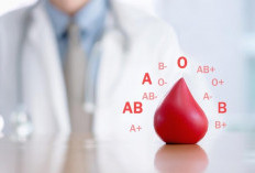 Terungkap Lewat Studi! Golongan Darah Ini Paling Rentan Kena Penyakit Jantung
