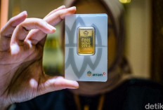 Harga Emas Anjlok Lagi! Cek Daftar Terbarunya Hari Ini Sebelum Terlambat