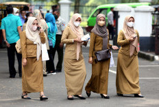 Jumlah Honorer Lulus PPPK 2024 Tahap 1 Sedikit, Sisanya Lebih Banyak