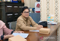 Ribuan Honorer Diusulkan Jadi PPPK Paruh Waktu, Janur Apresiasi Respons Cepat Pemda