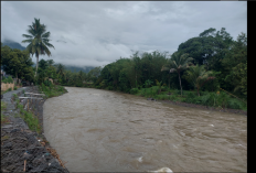 Sungai Ketahun Alami Pencemaran Ringan