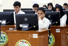 Tes PPPK Tahap 2 Dimulai, 863.993 Honorer Bersaing Ketat, Cek Kuotanya