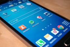 Soal WhatsApp Call dan Video Call Dibatasi, Menkomdigi Berkomentar Begini