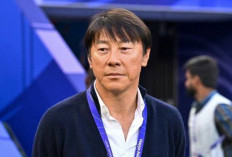 PSSI Resmi Pecat Shin Tae-yong, Publik Figur Ibnu Jamil Ungkap Kekhawatiran