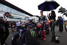 Quartararo Kritik Yamaha, Bawa-bawa Andrea Dovizioso