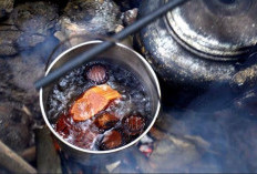 3 Ramuan Herbal Suku Dayak untuk Stamina yang Terbukti Ampuh